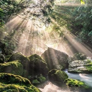 Uniquely Crafted Inspiring 💎